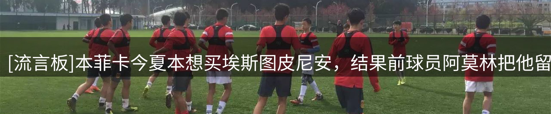 平台视角